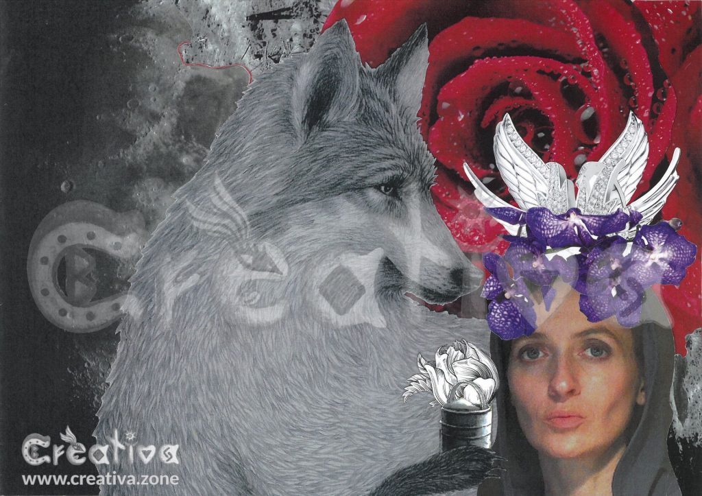 19.07.2024 - Little Red Riding Hood and Mr Wolf 20.07.2024 - Off the Beaten Track / Reunited / Dances With Wolves 12.01.2026